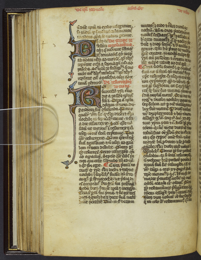 Foliate initials (fol. 84v) Image credit Leeds University Library
