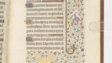 Monsters and grotesques (fol. 30r)