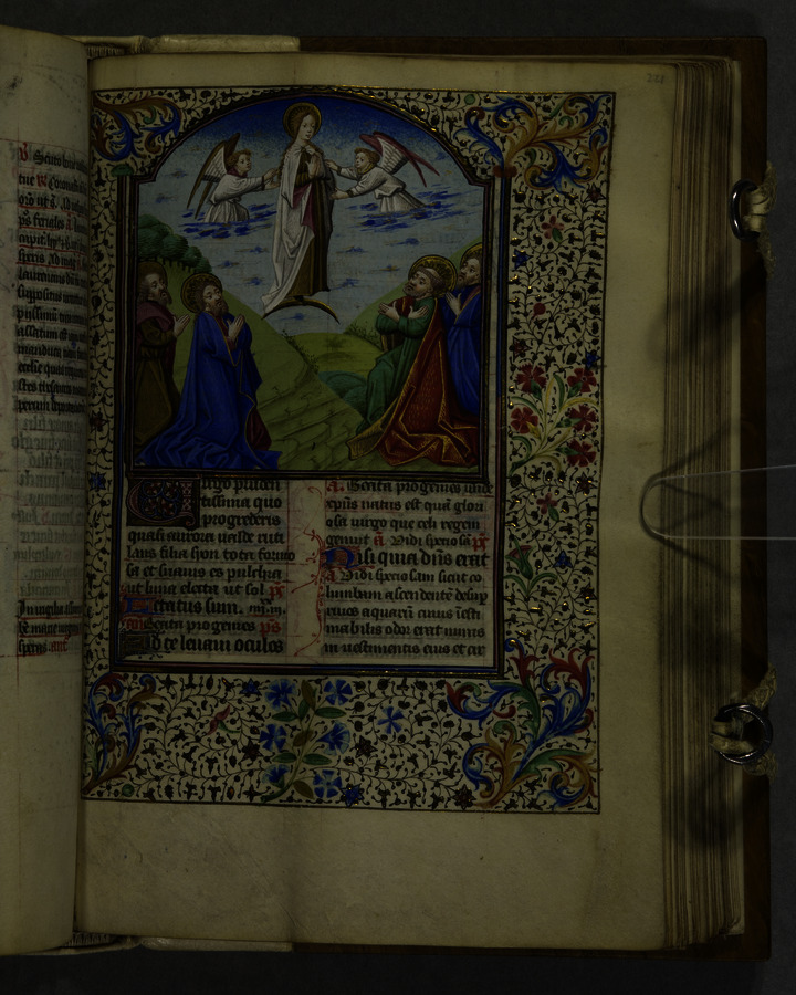 Assumption of the Blessed Virgin Mary (fol. 221r) Image credit Leeds University Library