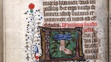 Wound to Christ's left foot (fol. 144v)