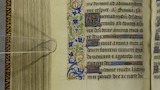 Peas and blueberries (fol. 169v)
