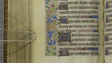 Thistles, pears and periwinkles (fol. 154v)