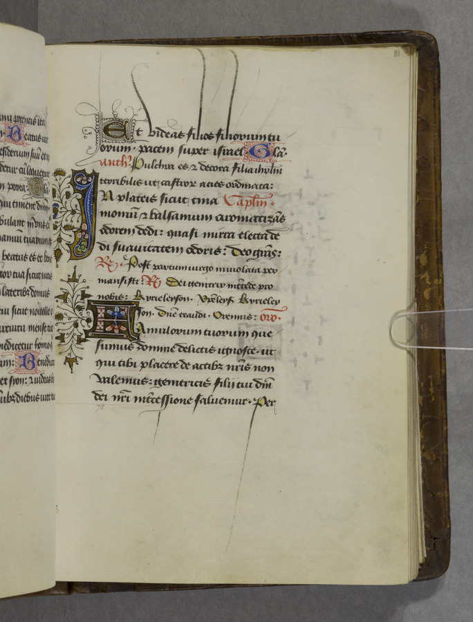 Decorated initials (fol. 81r) Image credit Leeds University Library