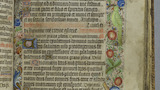 Border with green parrot (fol. 24r)