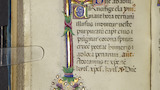 Floral border and initial (fol. 105v)
