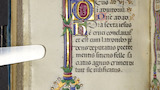 Floral border and initial (fol. 106v)