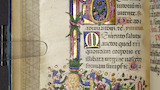 Floral border and initial (fol. 56v)