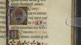 Floral border and initial (fol. 40r)