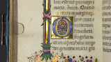 Floral border and initial (fol. 198v)