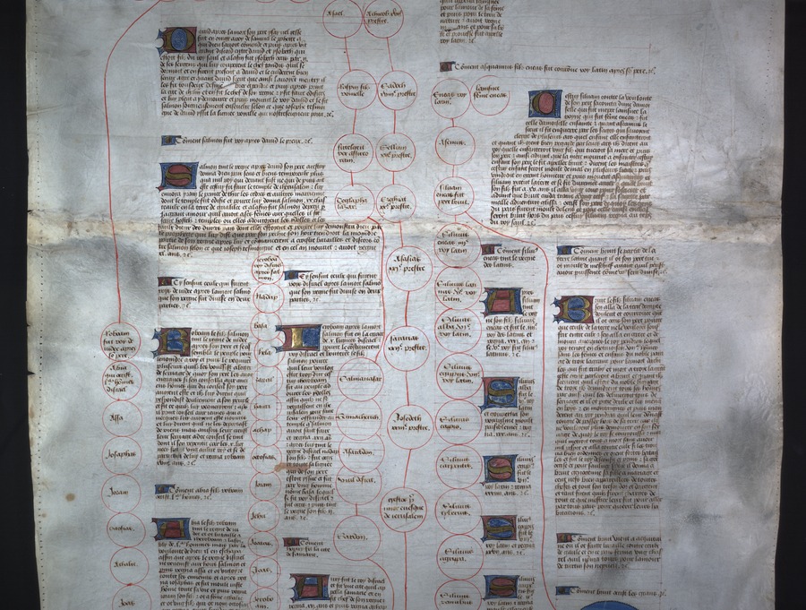 Genealogical tables (image 11) Image credit Leeds University Library