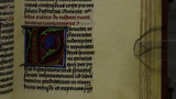 Speedwell (fol. 165r)