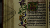 Flowers and leaves (fol. 89v)