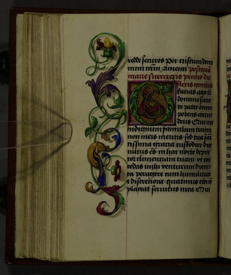 Flowers and leaves (fol. 89v) Image credit Leeds University Library