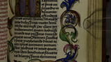 Leaves and flowers (fol. 146r)