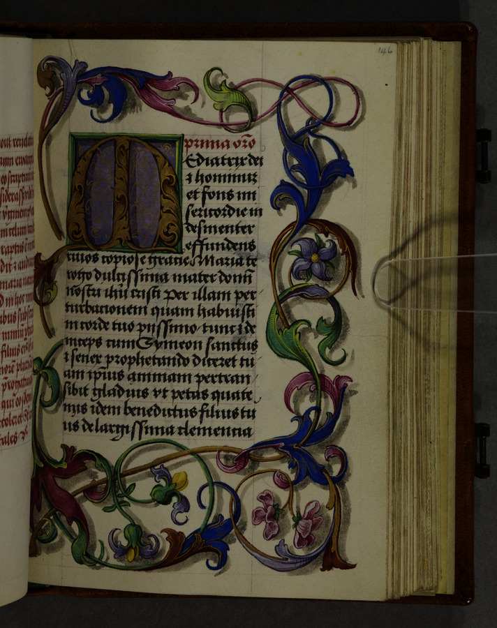 Leaves and flowers (fol. 146r) Image credit Leeds University Library