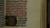 Flowers (fol. 92r)