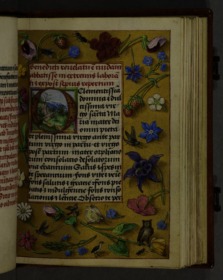 Birds and flowers (fol. 104r) Image credit Leeds University Library