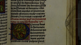 Pinks (fol. 96r)