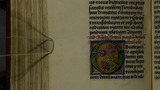 Pimpernels (fol. 153v)