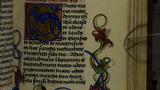 Flowers and leaves (fol. 160r)