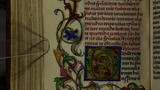Leaves and flowers (fol. 141v)