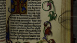 A bird and borage (fol. 164r)