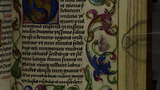Wagtail and flowers (fol. 156r)