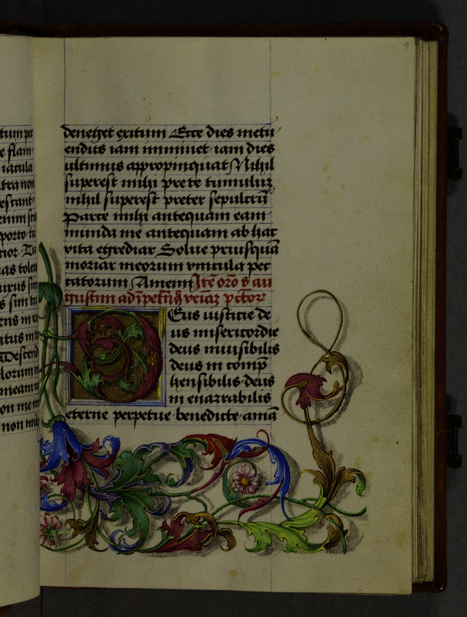 Acanthus leaves and flowers (fol. 9r) Image credit Leeds University Library