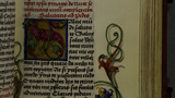 Acanthus leaves (fol. 117r)