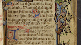 Floral border (fol. 7r)