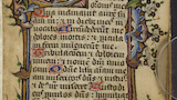 Floral border (fol. 71r)