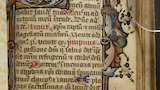 Floral border (fol. 127r)