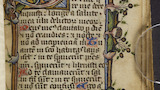 Floral border (fol. 61r)