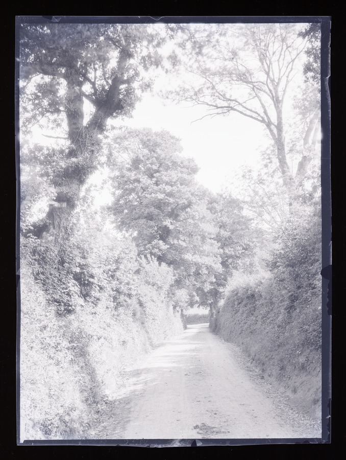 Lane near Timberscombe Image credit Leeds University Library