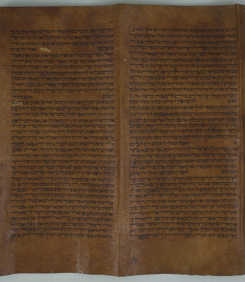 Hebrew synagogue Megillah scroll Image credit Leeds University Library