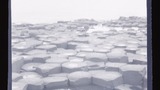 Giant's Causeway, Lady's Fan