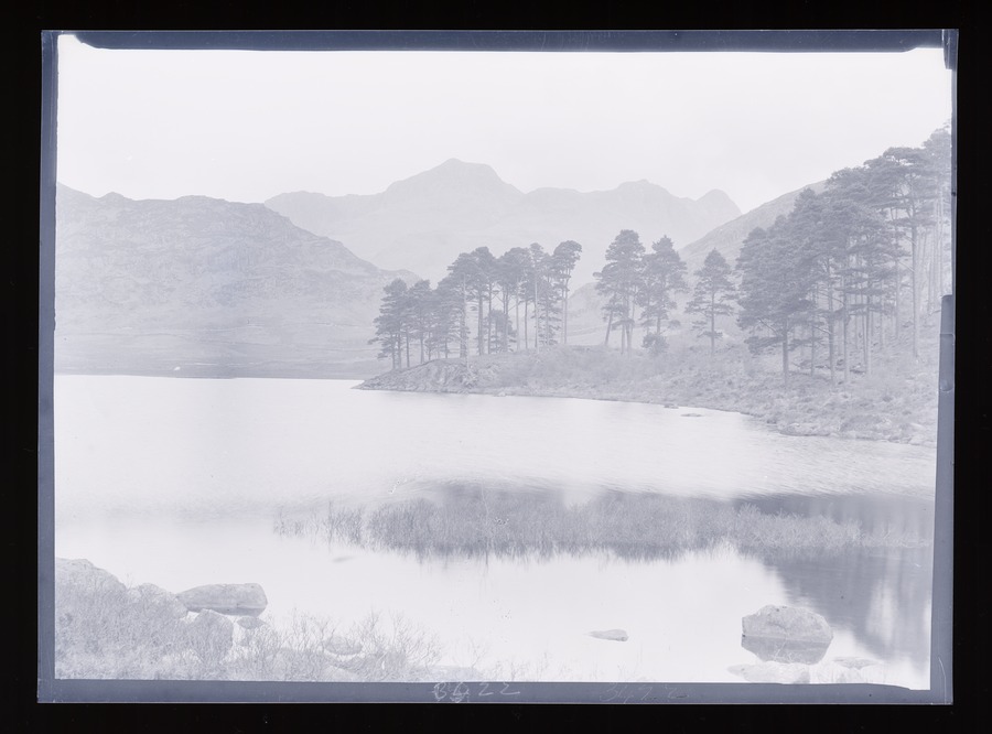 Langdale Pikes and Blea Tarn and trees Image credit Leeds University Library
