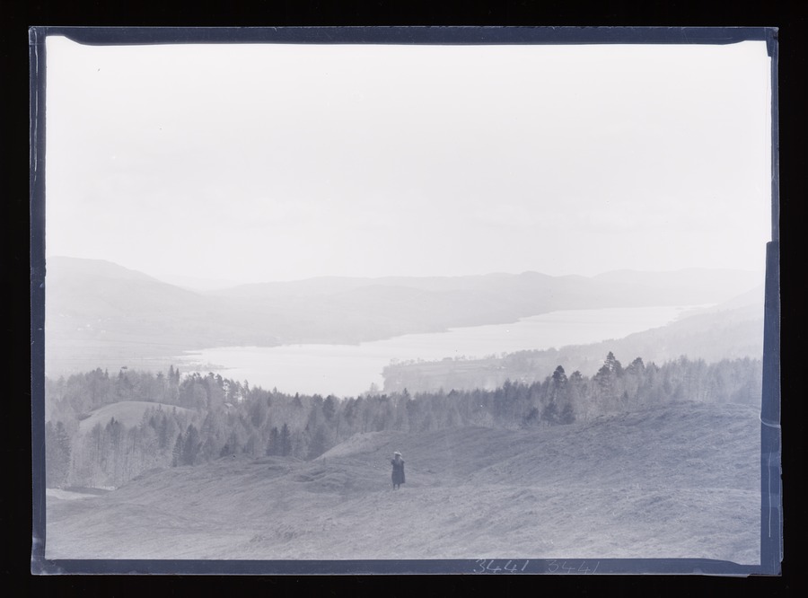 Coniston Lake from Tarn Hows Image credit Leeds University Library