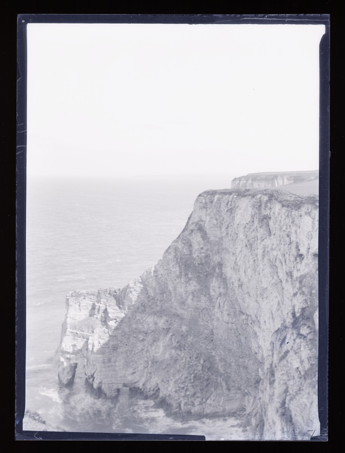 Flamborough Scale Nob. Bampton [Bempton] Cliffs Image credit Leeds University Library