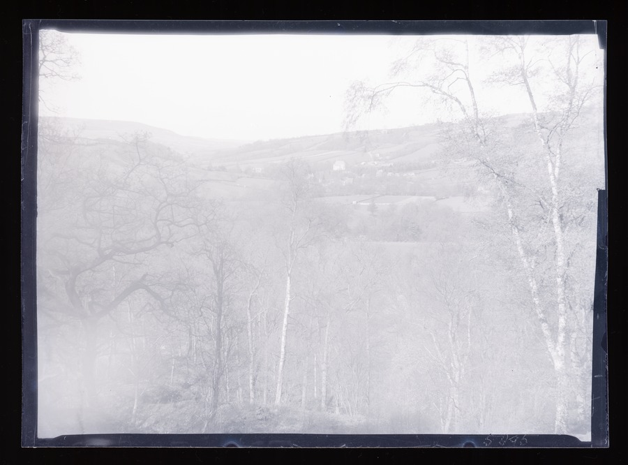 Arncliffe Woods, Eskdale from down Image credit Leeds University Library