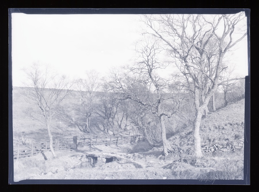 Shap dobells, Trees and foot bridge Image credit Leeds University Library
