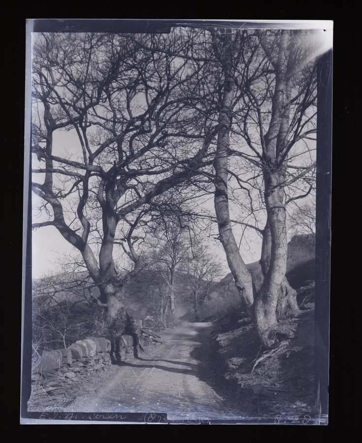 Llangynog, road near Image credit Leeds University Library