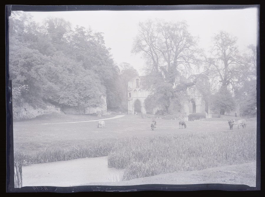 Roche Abbey, from W Image credit Leeds University Library