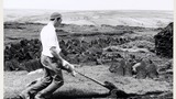 Mr Jim Graham, Hunt House, Goathland, cutting turf on Goathland Moor, using a cock spade, and sacking instead of knappers. Image used for one of the photographic illustrations in "Life in the Moorlands of North-East Yorkshire" (1972), plate 158. (Page ref