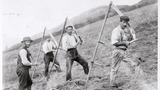 Haymaking at Muker, Swaledale. Inscribed in pencil on reverse "Christopher Raw with rake. Thomas William Raw (son). John Hunter Scar House. Irishman" Reproduced in 'Yorkshire Album', 1998, plate 159