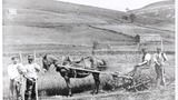 The old and the new'. Scythemen and an early mowing machine at Muker (1900?) Inscribed in pencil on reverse, "George  Alderson (Kisdon Farm) Christopher Raw, John Alderson (Kisdon G's father. Irishman, Muker, Swaledale"  ?Reproduced in Yorkshire Album, pa