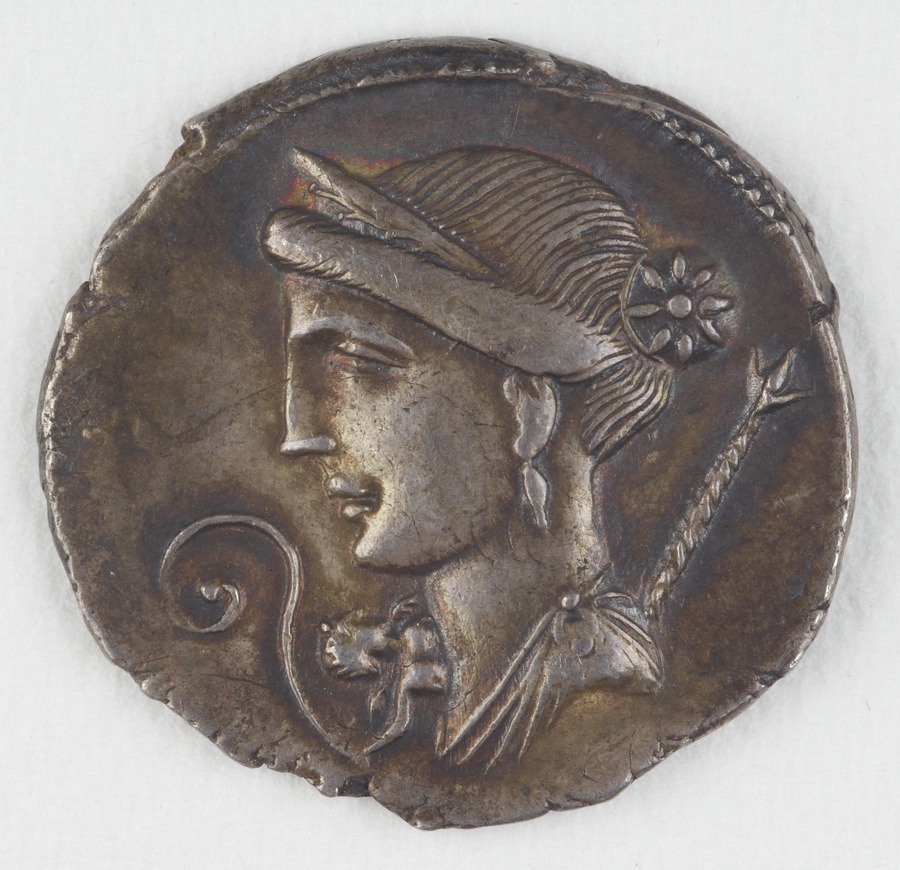 denarius Image credit Leeds University Library