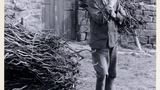 Mr G.Thompson, South View, High Walls, Lealholm, with a 'boddin o' cowls' (a burden of burnt heather stems). Image used for one of the photographic illustrations in "Life in the Moorlands of North-East Yorkshire" (1972), plate 155 . (Page reference taken