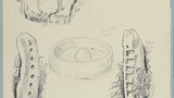 Ox Bow Stone; a pair of gateway stones, showing L-shaped hollows on one and round holes on the other, for wooden bars; ?base stones for beam press. Cp. drawing used on page 45 of  "Life in the Moorlands of North-East Yorkshire" (1972). Page reference take