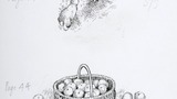 Above, rabbits and burrow entrance; below, basket of apples. Original drawings prepared for "Poems, Strange Places, Rhymes for Children and Others" by Joan Ingilby, published by the Dalesman Publishing Company Ltd. (1994). Indicated for use on pages 140 a